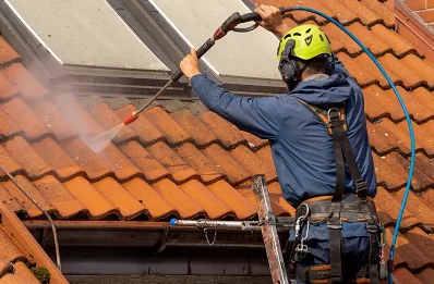 Démoussage et hydrofuge de toiture à Charre